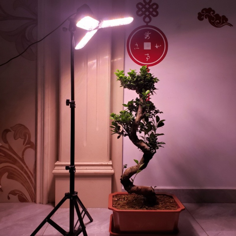 Подставка для лампочки 2 м, цо – обзор и цена Stand Lighting Photography